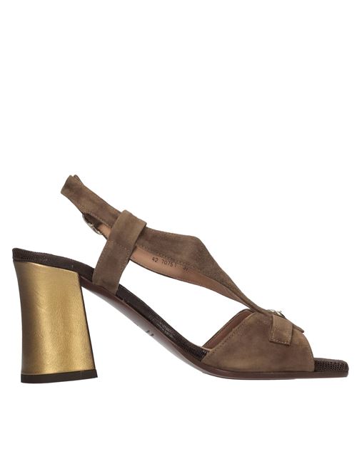  CHIE MIHARA | PICUDA ANTECASTANO-T.MORO-BRONZO